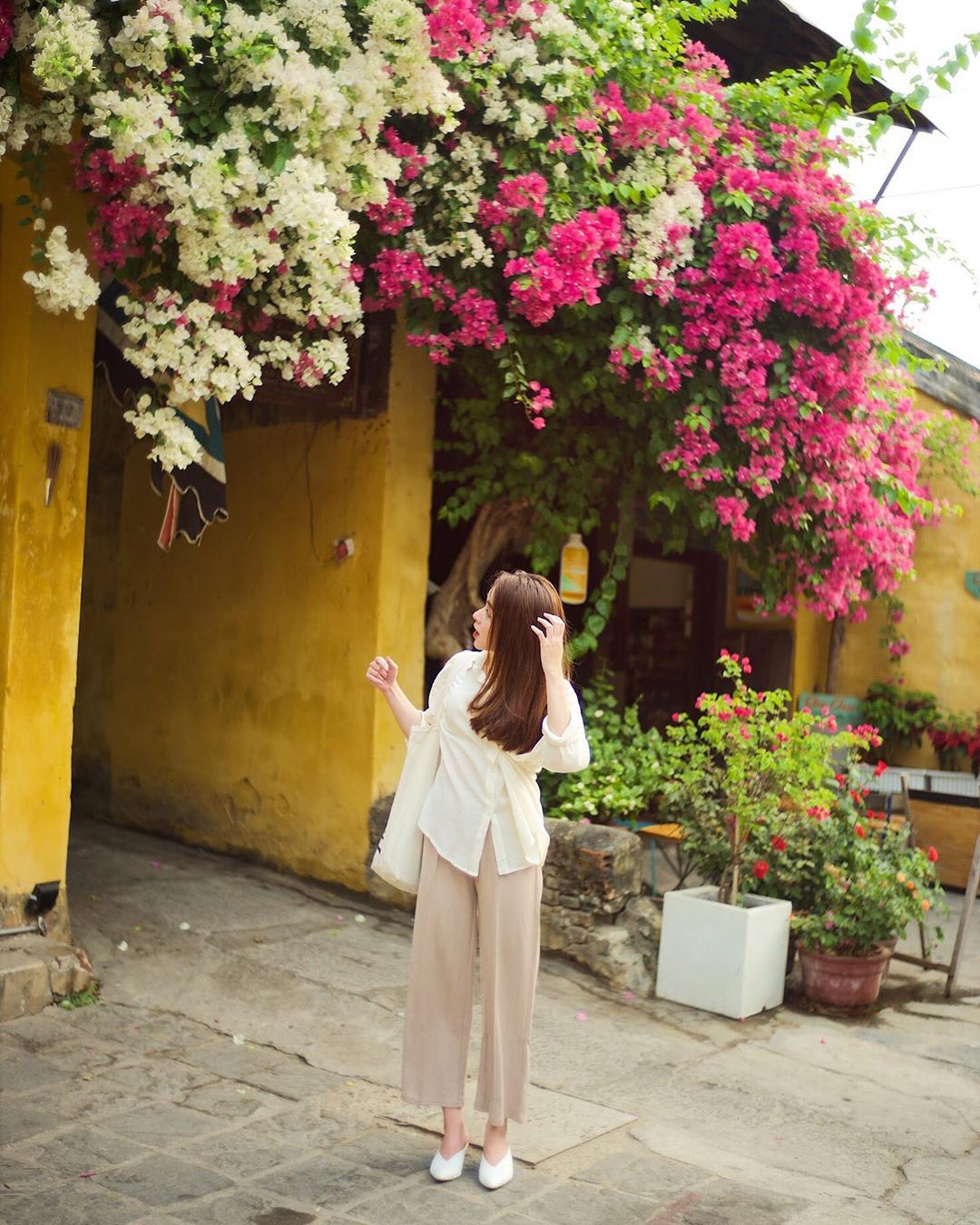 Đẹp mê đắm giàn hoa giấy Hội An – Nơi check in quen thuộc của hàng vạn du khách nơi phố cổ 12