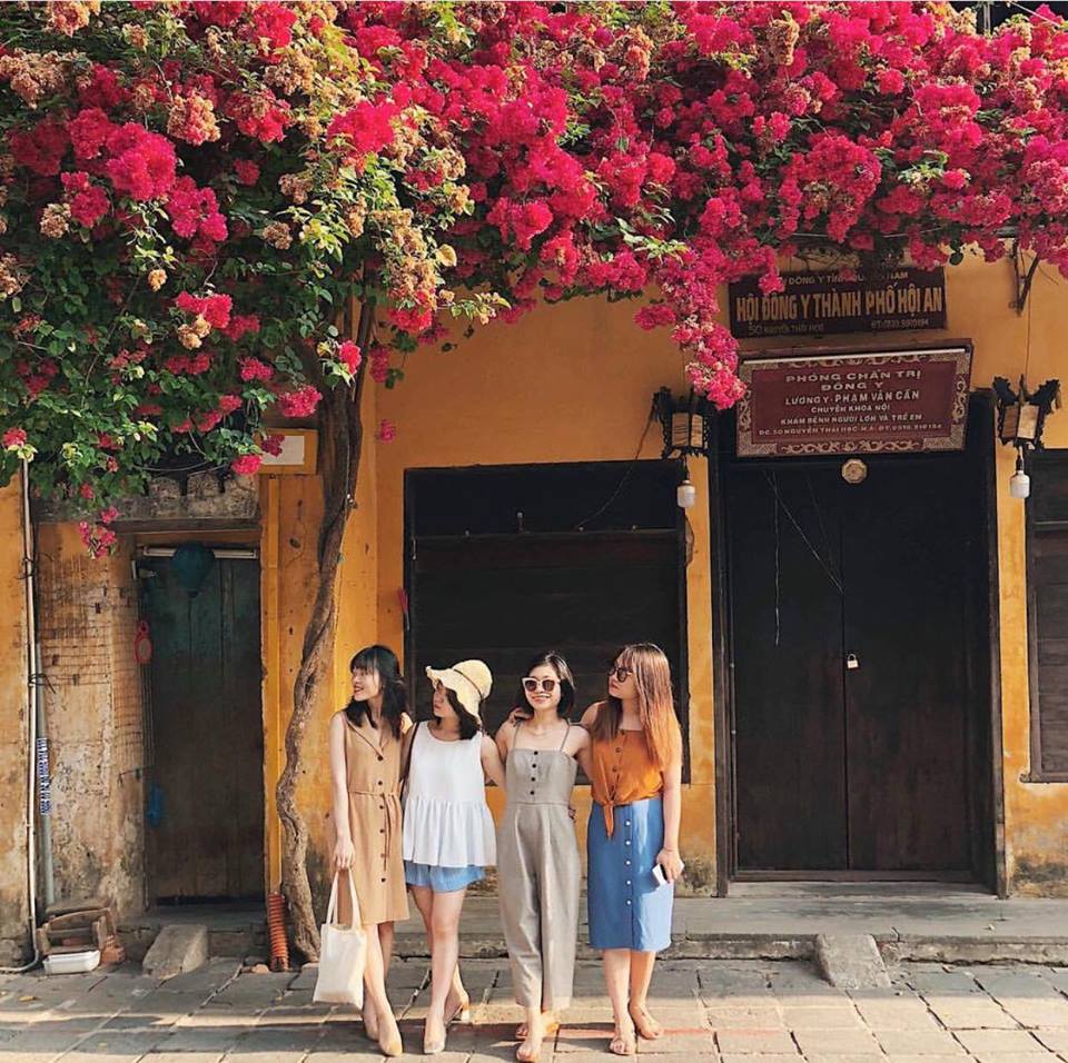 Đẹp mê đắm giàn hoa giấy Hội An – Nơi check in quen thuộc của hàng vạn du khách nơi phố cổ 13