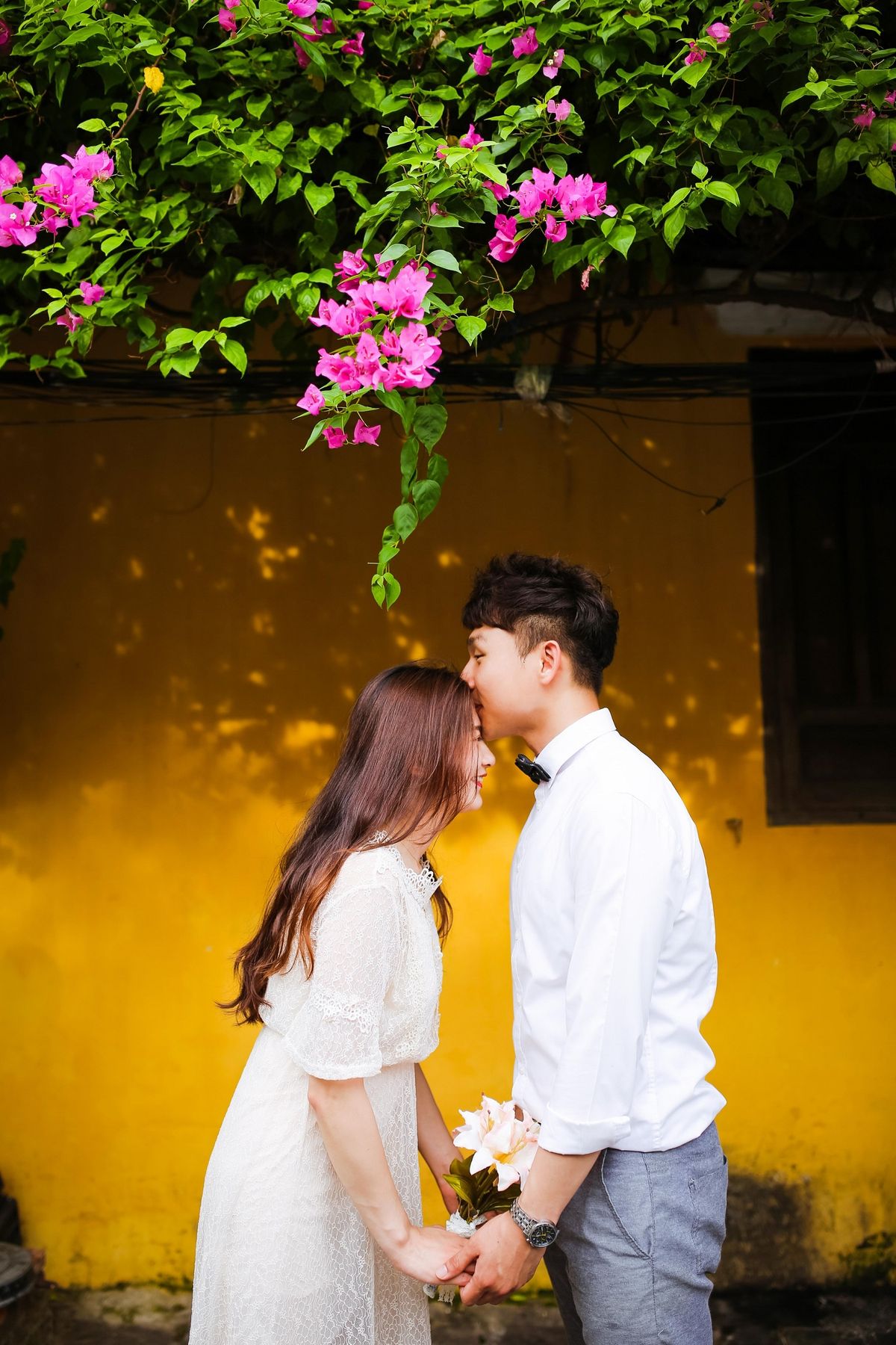 Đẹp mê đắm giàn hoa giấy Hội An – Nơi check in quen thuộc của hàng vạn du khách nơi phố cổ 15