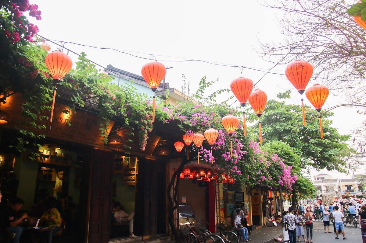 Đẹp mê đắm giàn hoa giấy Hội An – Nơi check in quen thuộc của hàng vạn du khách nơi phố cổ 4