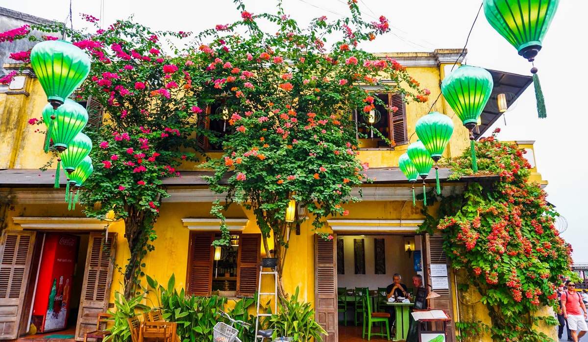 Đẹp mê đắm giàn hoa giấy Hội An – Nơi check in quen thuộc của hàng vạn du khách nơi phố cổ 7