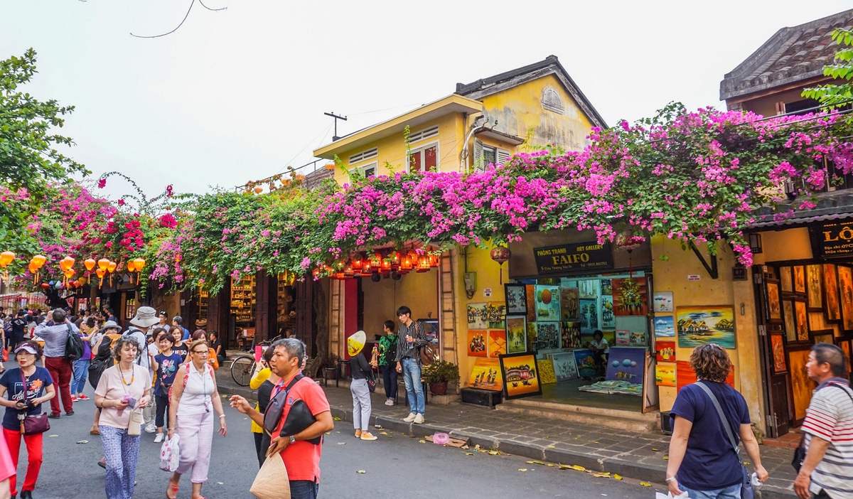 Đẹp mê đắm giàn hoa giấy Hội An – Nơi check in quen thuộc của hàng vạn du khách nơi phố cổ 8